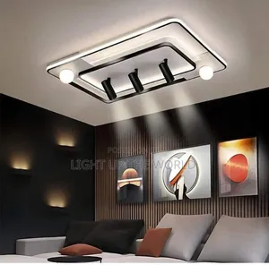 Ceiling Fainting With Track Light