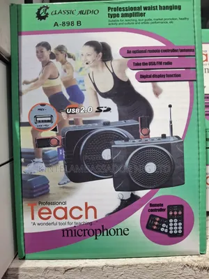 Professional Waist Hanging Amplifier