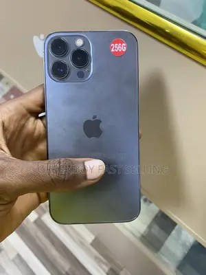 Apple iPhone 13 Pro Max 256 GB Black