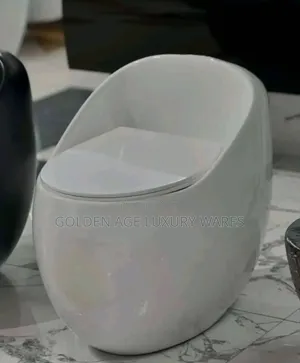 Executive One Piece Toilet