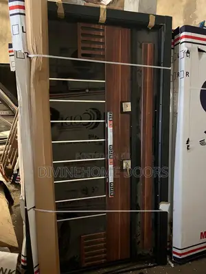 Silver Line and Wooden Finished Luxury Door