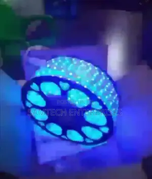 Led Rope Light (Blue)
