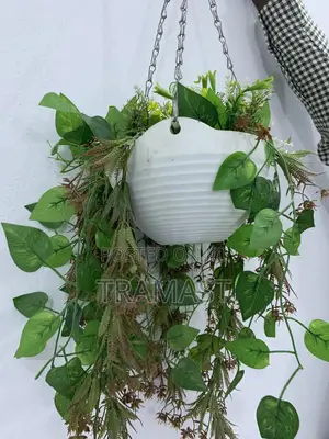 Artificial Hanging Flowers. Available in Bulk