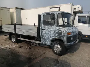 Mercedes 608 Pickup Gray Colour