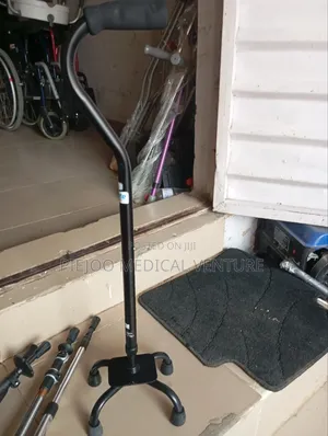 Walking Stick With 4 Stand