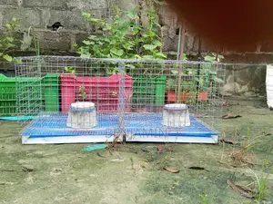2 Hutches Rabbit Cage