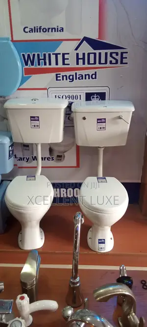 Hanging Water Closet