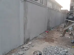 Professional Wall Pop and Cement Screeding and Paint