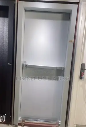 Pure Gray Emergency Exit Door