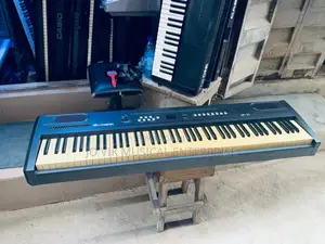 Thoman Dp-25