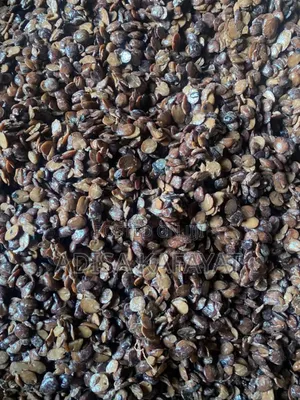 Locust Beans