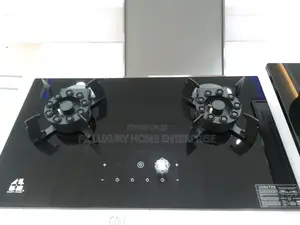 Digital 2 Burner Flip Up