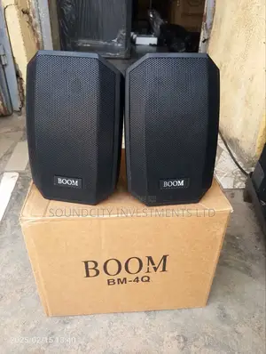 Boom Mini Wall Hanging Speaker.
