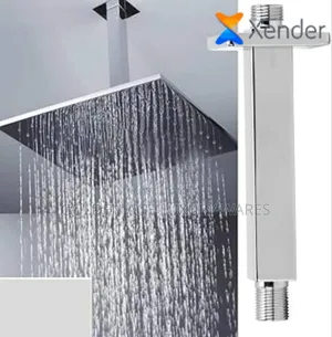 Stainless Shower Head