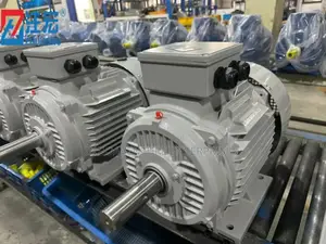 Three Phase Electric Motor