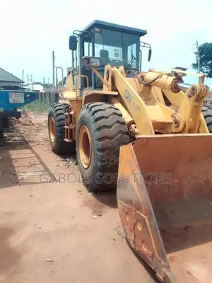 Chinese Payloader