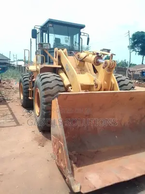 Chinese Payloader