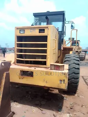Chinese Payloader