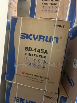 BD-145A Skyrun Chest Freezer - Store More, Worry Less