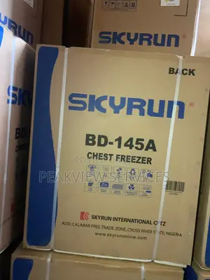The Best Freezer for Small Businesses - Skyrun BD-145A