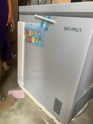 Easy to Use Chest Freezer - Skyrun BD-145A 145L