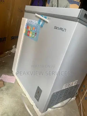 The Perfect Freezer for Families - Skyrun 145L BD-145A