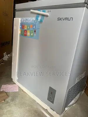 Skyrun 145L Freezer - Keep Your Family's Food Fresh