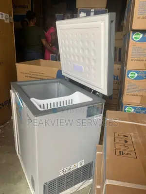 More Space, More Freshness - Skyrun BD-145A Chest Freezer