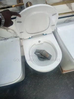 Bidet Toilet Seat Round