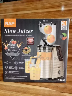 RAF Silver Slow Juicer 150watts.