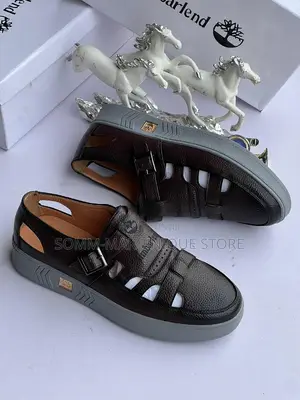 Men Sandal Shoe