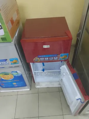 Easy to Maintain Polystar Refrigerator Double Door 138L