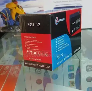 Ever Good UPS Battery