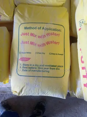 Mr. Putty Mixes Easily With Water Visit Wuse 2 Office