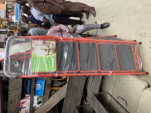 5 Step Multipurpose Family Use Ladder