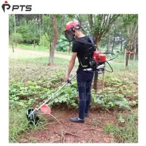 Mini Power Weeder 2 Stroke