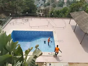 Pool Interior and Exterior Cleaning Service