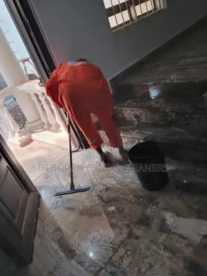 Dust and Shine to Perfection Cleaning Service