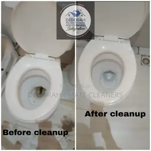 Perfection ,Speed and Professionalism Cleaning Service