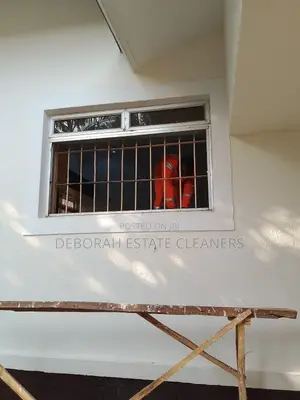 Professional Window Vacum Cleaning Service