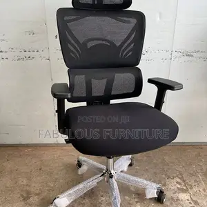 Orthopedic Executive Office Chair