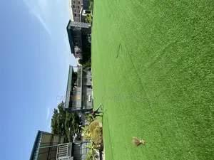 High Quality Grass Carpet