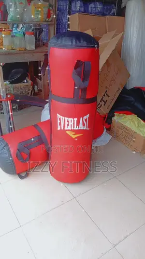 Everlast Punching Bag