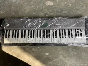 LK120 5-Octave Durable Casio Keyboard