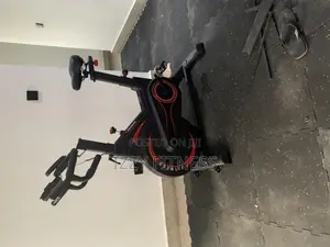 Happy Gem Spinning Bike