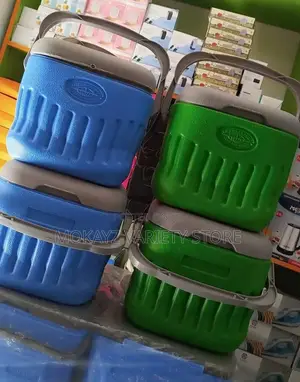 Picnic Cooler