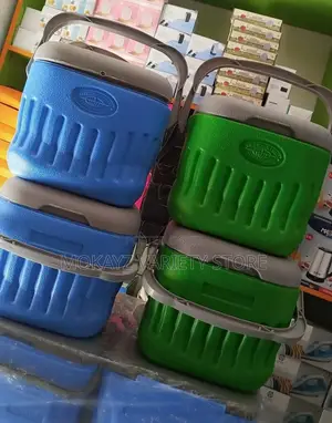 Picnic Cooler