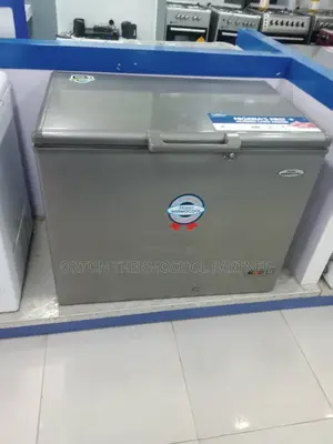 Thermocool Inverter Freezer 319l