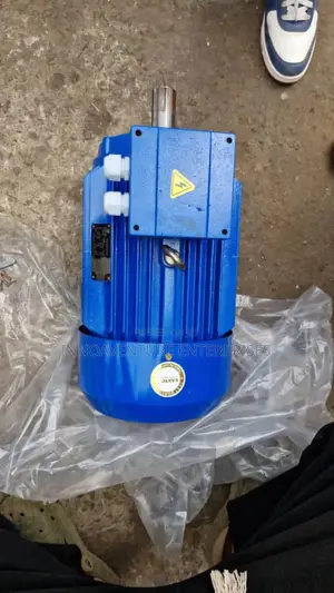 Electric Motor