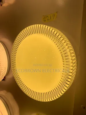 Ceiling Fittings Light 3 Colors